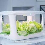 <h1>Comparative Lessons from the Field: Rethinking Smart Farm Choices for the Smart Garden Era</h1>