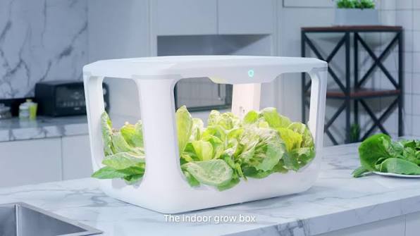<h1>Comparative Lessons from the Field: Rethinking Smart Farm Choices for the Smart Garden Era</h1>